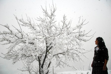Türkiye'den kış manzaraları 3