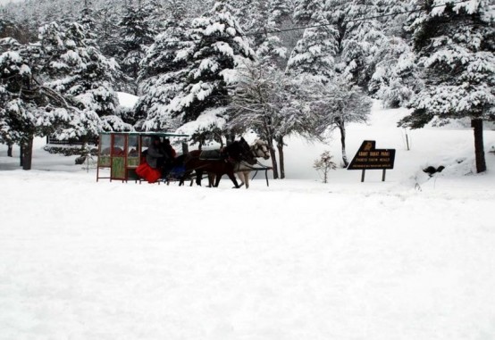 Türkiye'den kış manzaraları 13