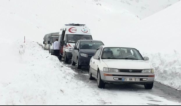 Bahçesaray Yolu'na çığ düştü (21 Mart) 5