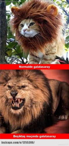 Galatasaray - Beşiktaş maçı caps'leri 5