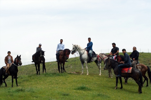 Erciş'te Rahvan At Yarışları 1