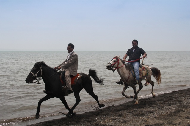 Erciş'te Rahvan At Yarışları 3