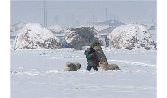 Van'da zorlu kış şartlarının resimleri 10