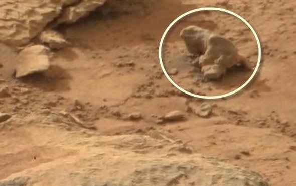 Mars'tan dünyaya gelen sıra dışı görüntüler... 35