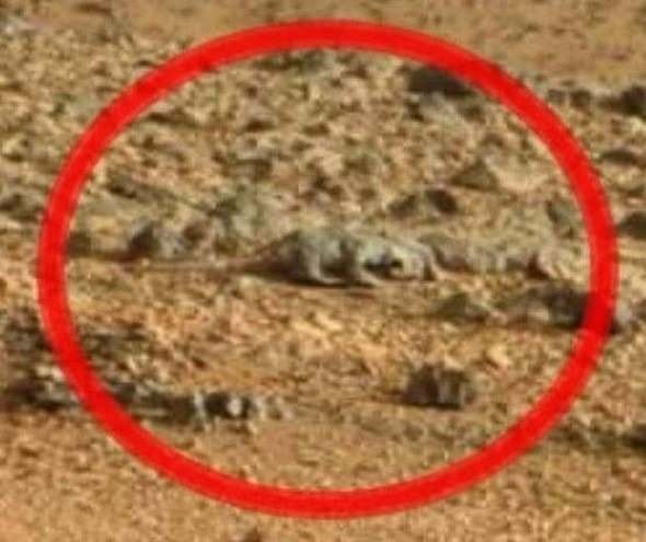 Mars'tan dünyaya gelen sıra dışı görüntüler... 12