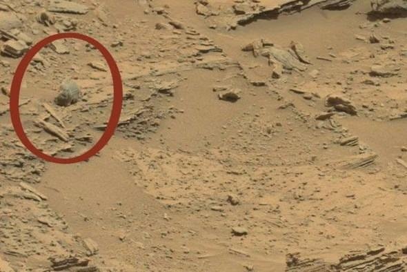 Mars'tan dünyaya gelen sıra dışı görüntüler... 21