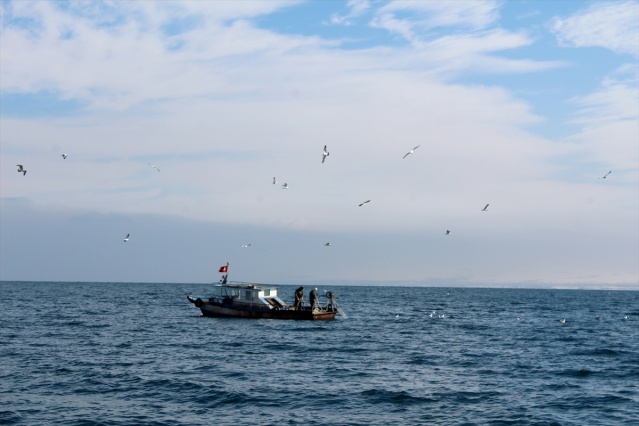 Van Gölü'nde "ekmek mücadelesi" 7