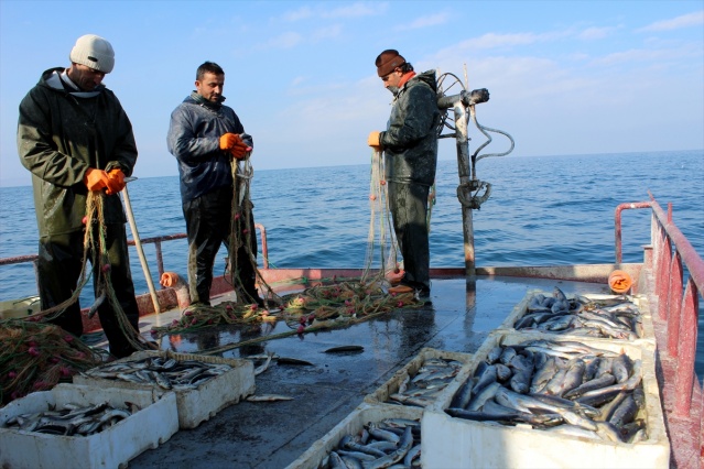 Van Gölü'nde "ekmek mücadelesi" 8