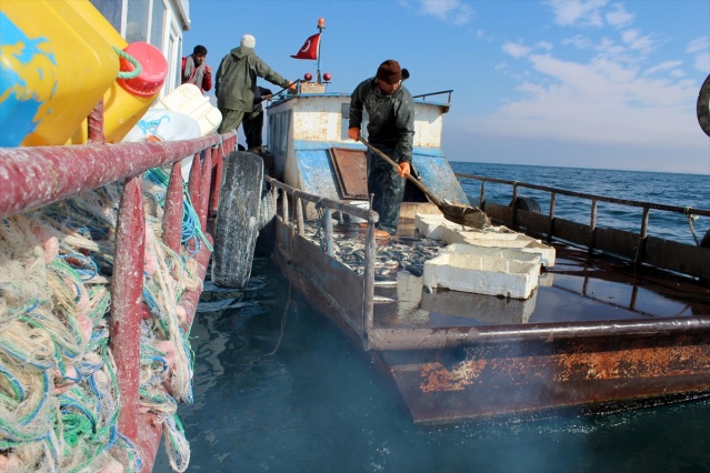 Van Gölü'nde "ekmek mücadelesi" 12