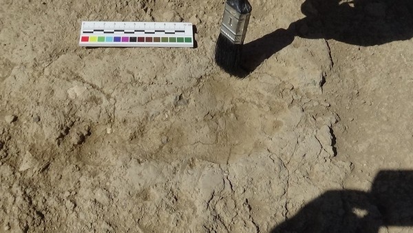 Van'da 2700 yıllık Urartulu kadının ayak izine rastlandı 3