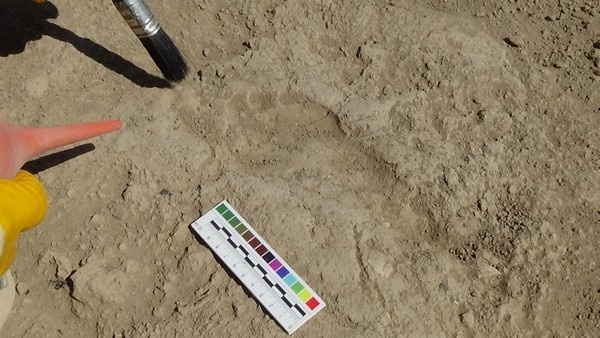 Van'da 2700 yıllık Urartulu kadının ayak izine rastlandı 4