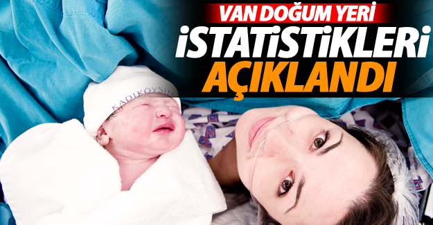 Van doğum yeri istatistikleri açıklandı - Van Haber