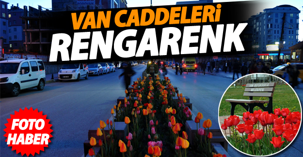 Van Büyükşehir Belediyesi yeşillendirme çalışmaları devam ediyor - Van Haber