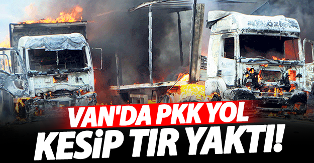 SON DAKİKA! PKK'lılar yol kesip tır yaktı - Van Haber