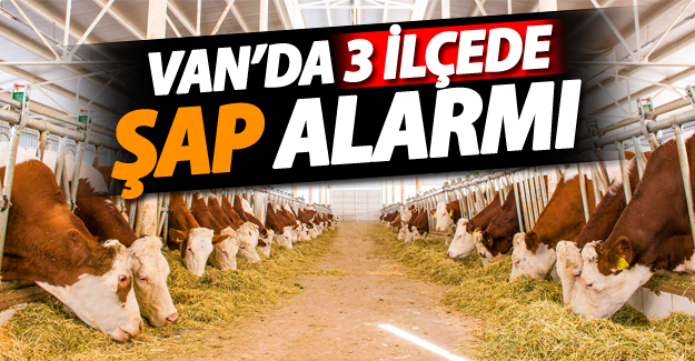 Dikkat! Van'da 3 ilçede şap alarmı - Van Haber