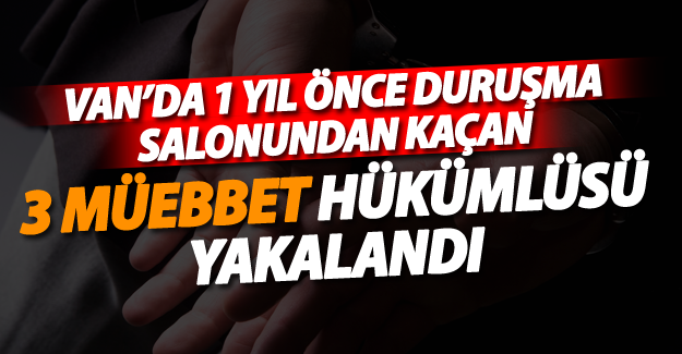 Van'da 3 kişi öldüren şahıs Patnos'ta yakalandı - Van Haber