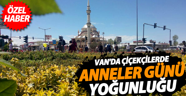 ÖZEL HABER Van'da çiçekçilerde Anneler Günü yoğunluğu