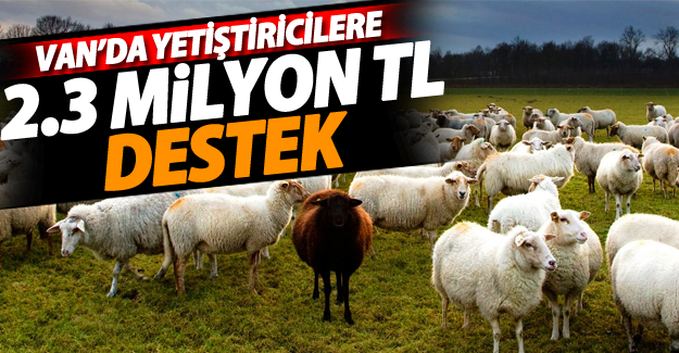 Van’da yetiştiricilere 2.3 Milyon TL destek