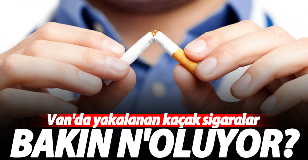 Van'da yakalanan kaçak sigaralar bakın n'oluyor?