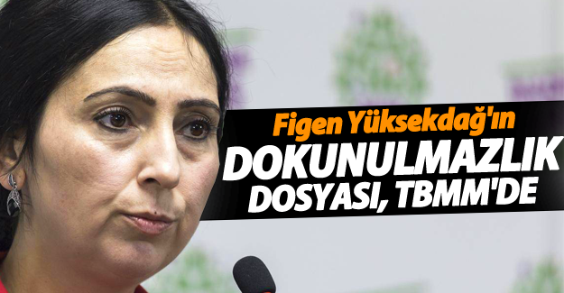 Figen Yüksekdağ'ın dokunulmazlık dosyası, TBMM Başkanlığına sunuldu