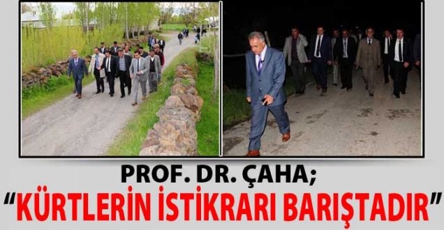 Çaha; Kürtlerin İstikrarı Barıştadır!