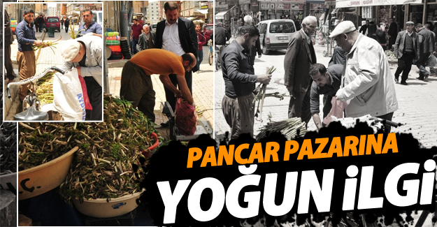 Van'da pancar pazarına yoğun ilgi