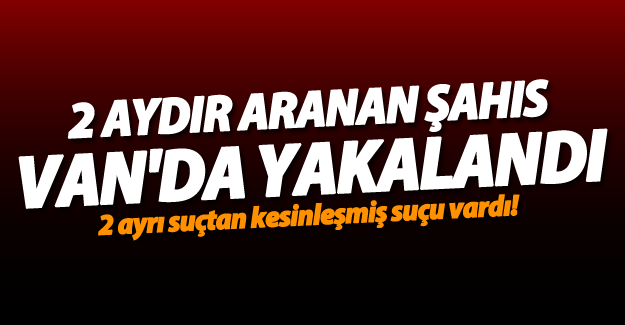 Van'da biri kişi 9 yıl 4 ay kesinleşmiş hapis cezasıyla tutuklandı