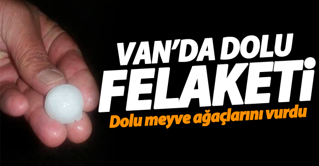 Van'da dolu meyve ağaçlarını vurdu