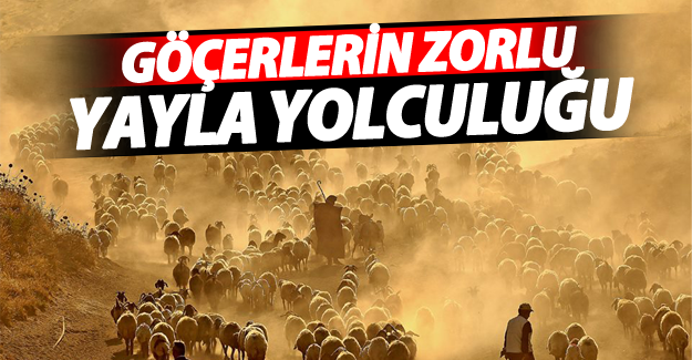 Göçerlerin zorlu yayla yolculuğu