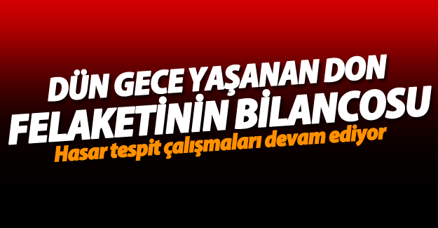 Dün gece Van'da yaşanan don feleketinin bilancosu