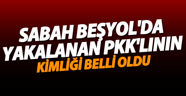 Van Beşyol'da sabah yakalanan PKK'lının kimliği belli oldu