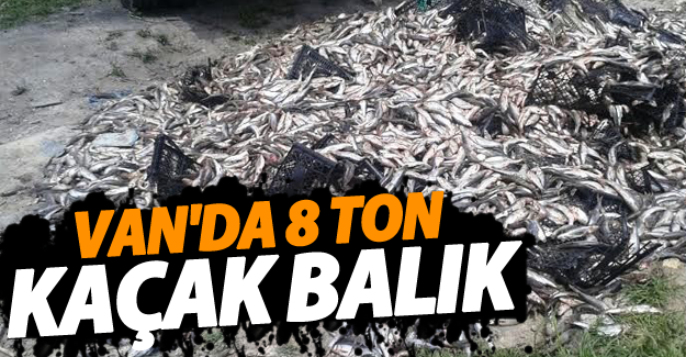 Van'da 8 ton kaçak inci kefali ele geçirildi - Van Haber