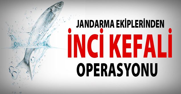 Jandarma Ekiplerinden İnci Kefali Operasyonu!