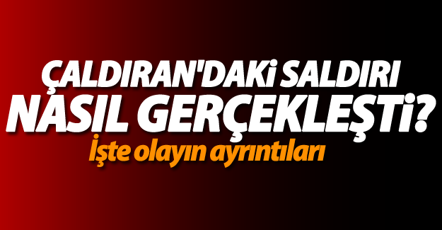 FLAŞ GELİŞME! Çaldıran'daki saldırının detayları belli oldu