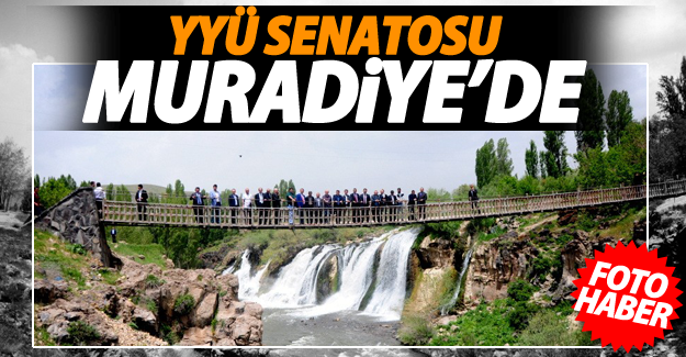 Van Yüzüncü Yıl Üniversitesi senatosu Muradiye'de