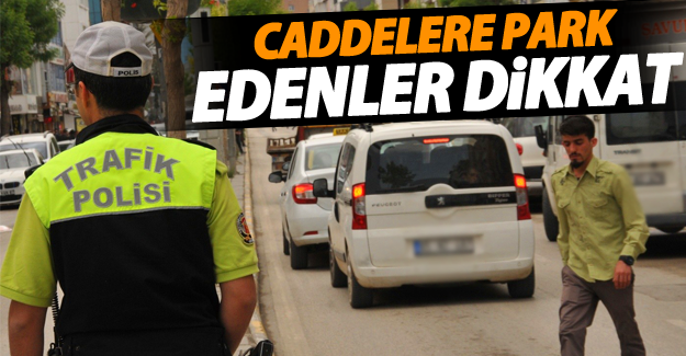 Van'da park sorunu büyümeye devam ediyor - Van Haber