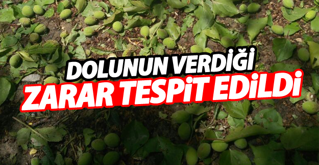 Van'da yağan dolunun verdiği zararın boyutu netleşiyor