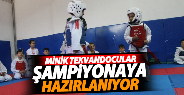 Minik Tekvandocular Türkiye Şampiyonasına Hazırlanıyor