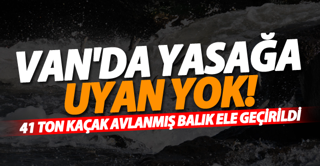 Van'da yasağa uyan yok! 41 ton kaçak balık yakalandı