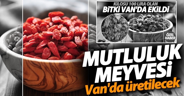 Mutluluk meyvesi Van'da üretilecek
