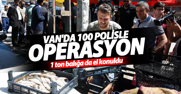 Van'da 100 polis ile inci kefali operasyonu