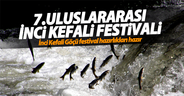 Erciş'te İnci Kefali Göçü Kültür ve Sanat Festivali yarın başlıyor