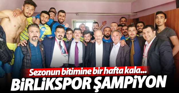 Van Birlikspor Van Birinci Amatör Lige yükseldi