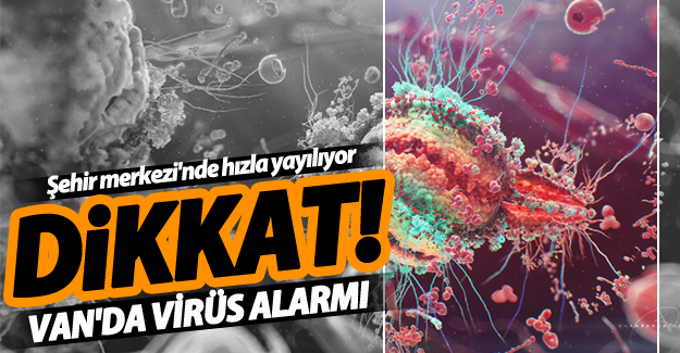Delta virüsü, Van şehir merkezinde yoğunlaştı