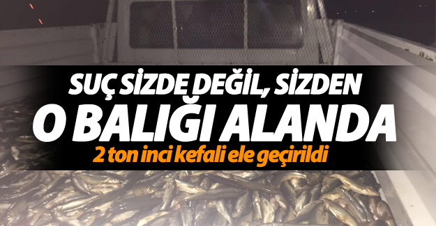 Van'da kaçak avlanan 2 ton inci kefali ele geçirildi