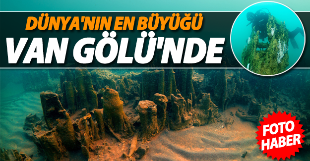 Dünya'nın en büyüğü Van Gölü'nde