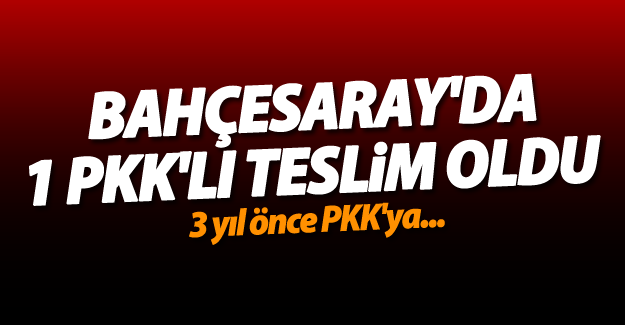 Van'ın Bahçesaray ilçesinde 1 PKK'lı teslim oldu