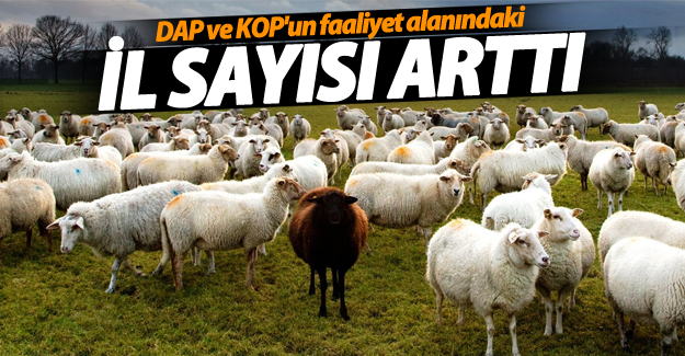 DAP ve KOP'un faaliyet alanındaki il sayısı arttı