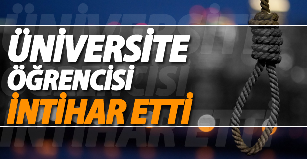 Van-Hakkari karayolunda üniversite öğrencisi intihar etti