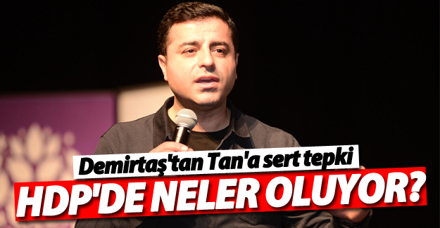 Demirtaş'tan Altan Tan'a sert yanıt!